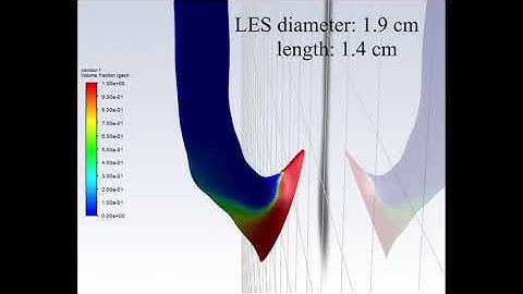 Ansys Fluent: Volume fraction of reflux episode