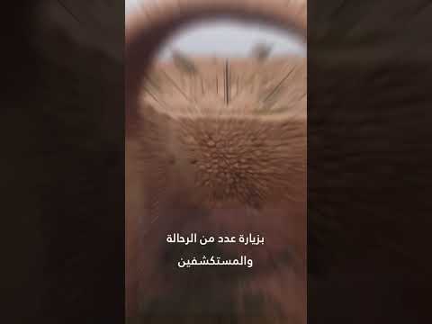 مدينة قلهات التاريخية
