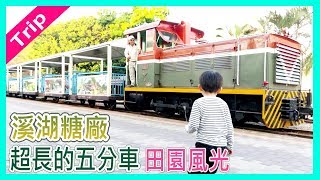 搭乘溪湖糖廠五分車看田園風光｜七分車｜蒸汽火車｜ 