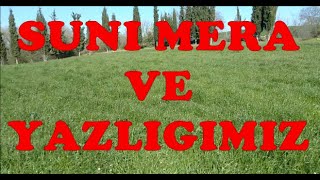 Suni  & Yapay Mera Maliyeti ve Koyun Yazlığı Yapımı #yapay #mera #yazlık #küçükbaşhayvancılık.