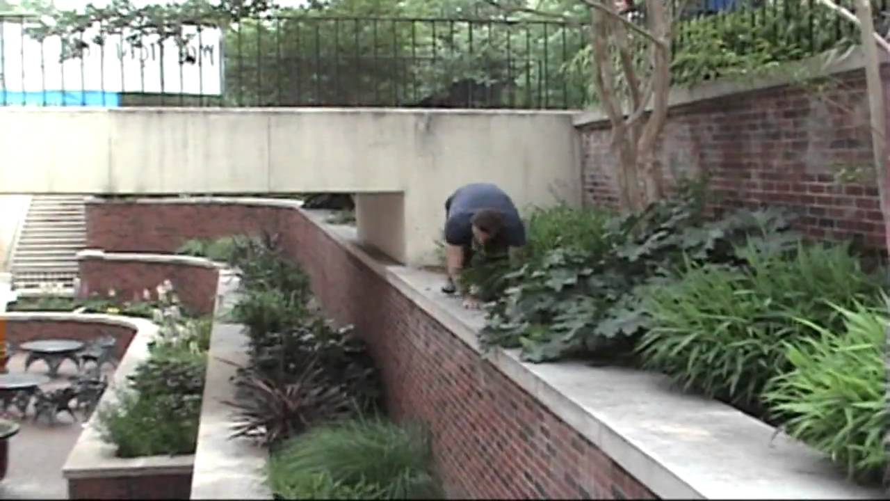 Ascent - Matt Thomas 2009 Debut Showreel