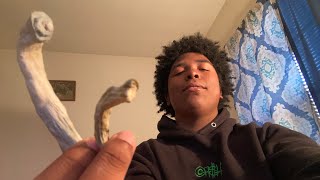 MUSHROOMS AND TALK