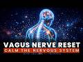 Vagus Nerve Reset: Soothe the Nervous System, Nerve Healing Binaural Beats
