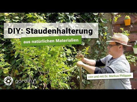 Video: Pflanzenstütze für den Garten – Tipps zur Auswahl von Gartenpflanzenstützen