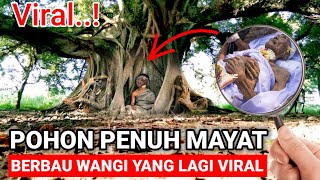 VIRAL..! POHON PENUH MAYAT YANG LAGI VIRAL DI BALI