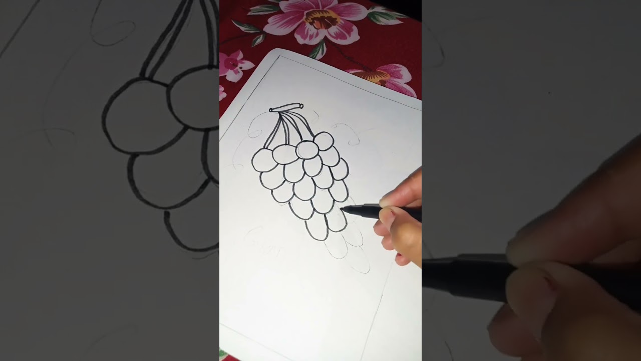 How to draw grapes step by step 
