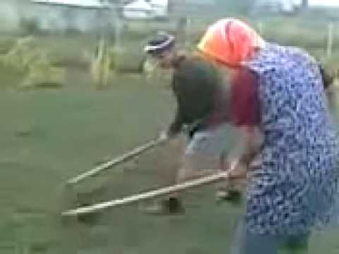 Prasasti fa bine fa!!!