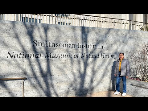 Видео: Смитсоновский национальный музей естественной истории