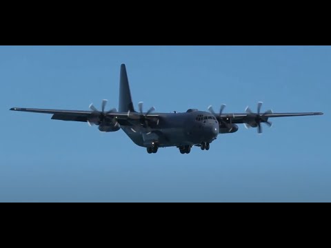 Wellington Flights Live - The Seawall edition