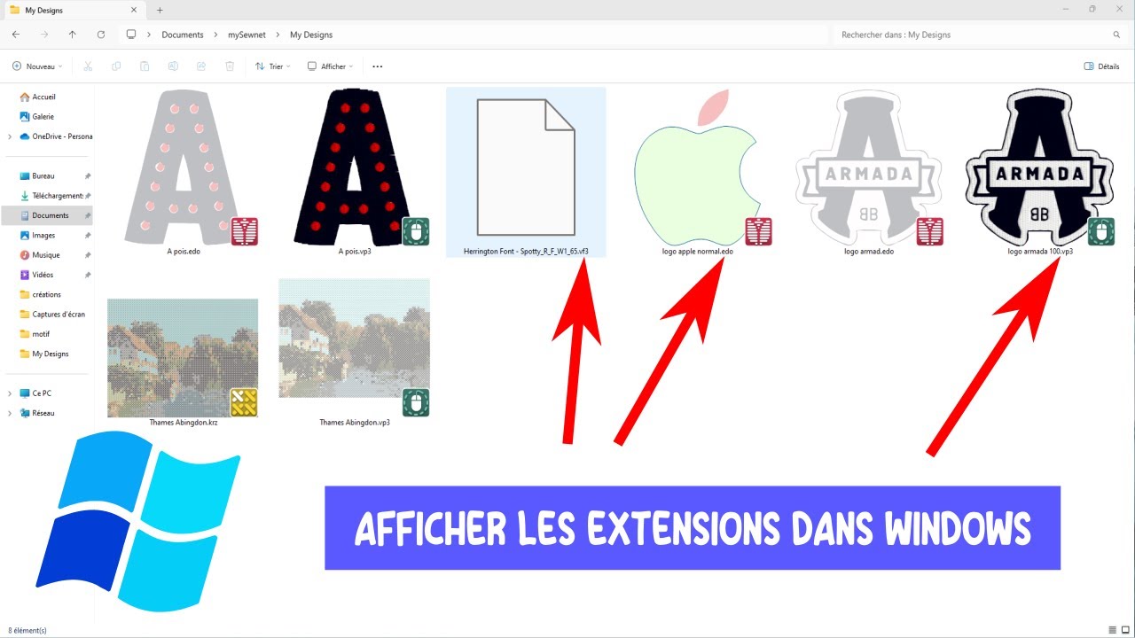 Afficher Les Extensions dans Windows 10 et 11 / Trucs et Astuces ...