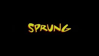 Sprung (1997, trailer) [Tisha Campbell-Martin, Rusty Cundieff, Paula Jai,  ParkerJoe Torry]