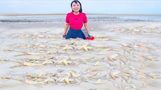 Prawns & prawns are overflowing, and clams are all over the beach