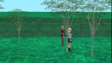 Max and Kim saw a UFO  alice 3.1