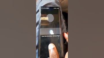 LG WING 5G cant add Fingerprint