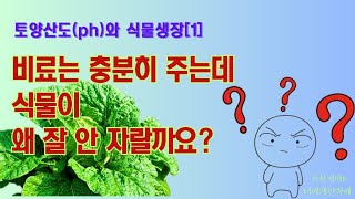 토양산도(ph)와 식물의 생장//좋은 비료를 충분히 주는데 왜 식물이 잘 안 자랄까요?//토양산도가 안 맞으면 영양분 흡수를 못합니다//