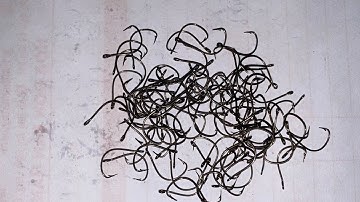 Tôm đang vô mùa, về rất nhiều, và đây là lưỡi câu tôm được nhiều ace tin dùng