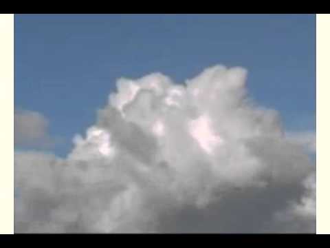 Скачать Сергей Трофимов - Ядрена-Матрена в 3 качестве