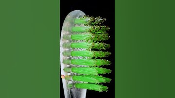 ASMR MACRO VIDEO #satisfying #asmr #macro #closeup #relaxing