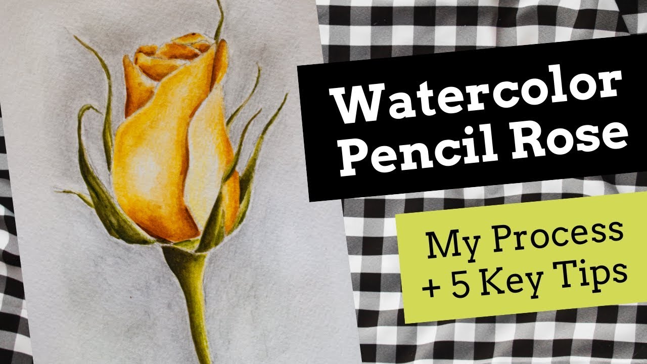 Watercolor Pencil Rose: My Process and Key Tips