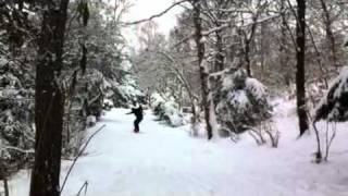 Hasenheide Snowskate 2011