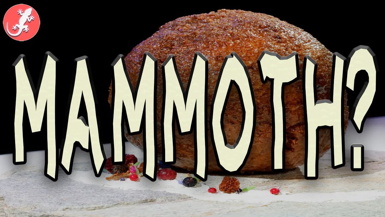 Does This Meatball ACTUALLY Contain Mammoth? YouTube
