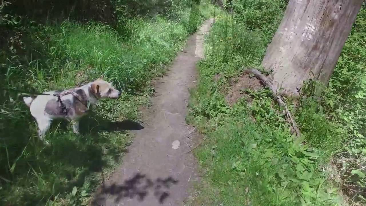 Wanderung vom Hotel Ritzlerhof zum Piburger See