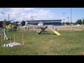 Dog Agility Show