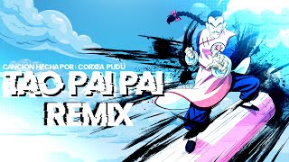 Tao Pai Pai (Remix) - Vzer