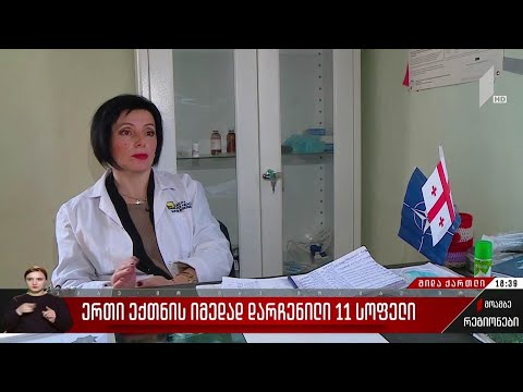 ერთი ექთნის იმედად დარჩენილი 11 სოფელი
