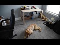 Simple Work Table Simple Work Table