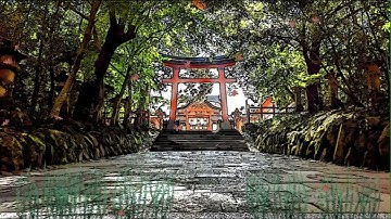 Neko Mata #Japanese #Yokai By JBo