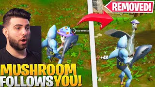 Epic Accidentally Added A MUSHROOM Pet! (Follows \& Heals You!)