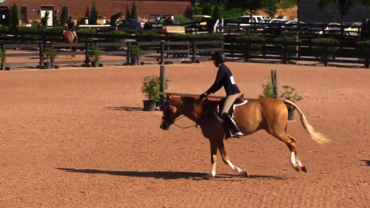 Pony Hunter Classic round at Tryon International Equestrian Center ...