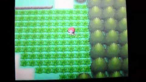 Shiny Shinx w/ Pokéradar + Resetting for Shiny Patch! (HD)