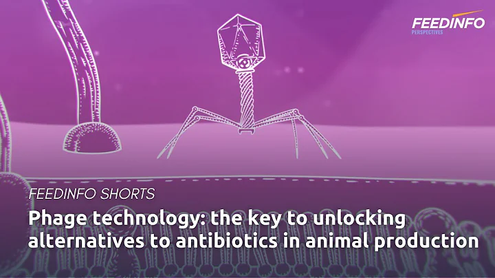 Phage technology: The key to unlocking alternatives to antibiotics in animal production
