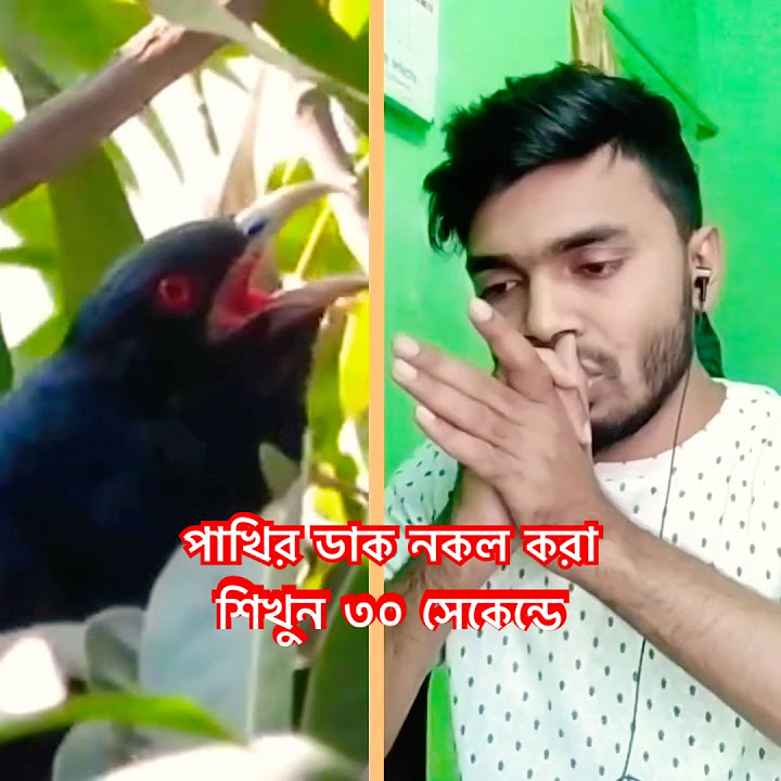 Learning how to bird whistle how to bird whistle with your hand how