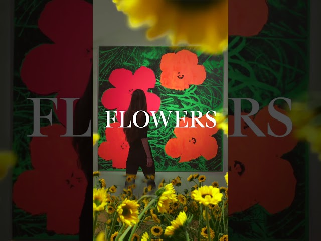 🌺 Warhol’s larger-than-life ‘Flowers’ class=