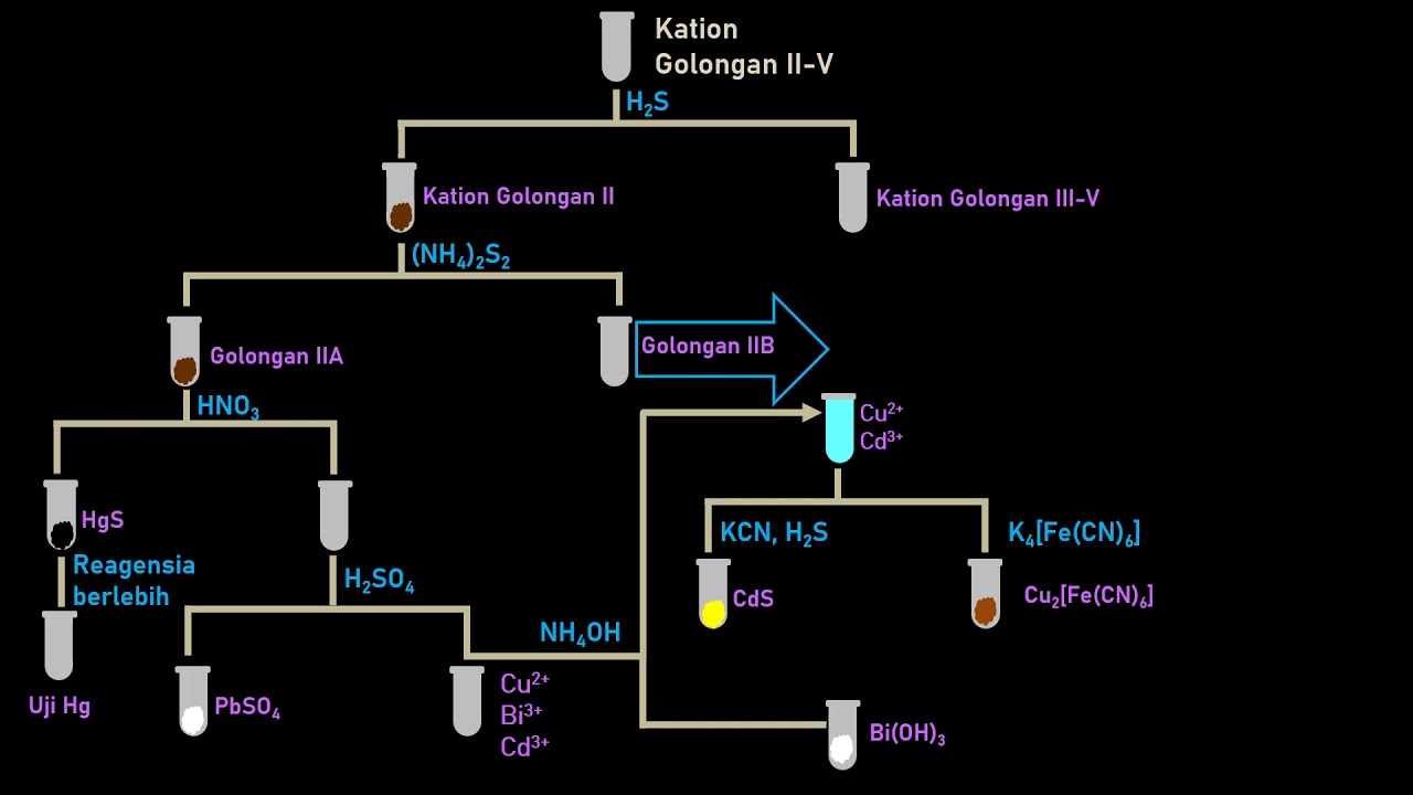 2. Analisis Kualititatif Kation dan Anion