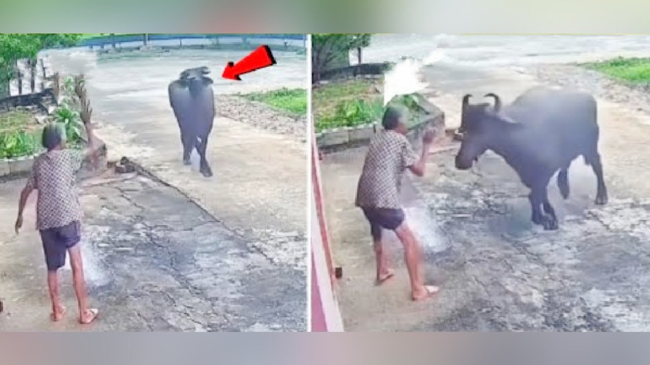 கேமராவில் பதிவான மிரள வைக்கும் நம்ப முடியாத சம்பவங்கள் / Unbelievable Moments caught on camera