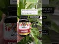 Revitalize with Ancient Bliss Berberine! 🌿💪"