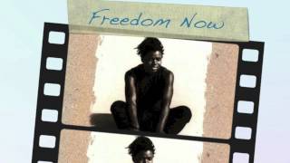Tracy Chapman - Freedom Now