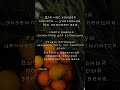 ТГК:Сокровища Империи #нумизматика #коп_монет #монеты #коллекция #shorts #интересное
