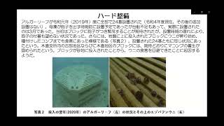 函館産天然マコンブの藻場再生の今 広海十朗（日本大学生物資源科学部）