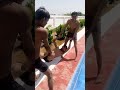Doston Ki Masti Swimming Pool Mein Nahate Hueрџ Јрџ Јрџ Јрџ Ј Doston Ki Masti Swimming Pool Mein Nahate Hueрџ Јрџ Јрџ Јрџ Ј