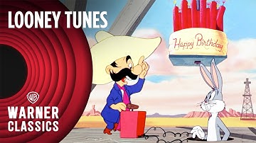Looney Tunes | Classic Bugs Bunny Compilation | Vol. 3 | Warner Classics