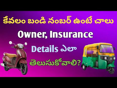 vehicle insurance check