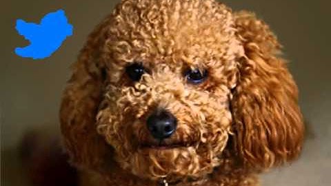 Privacy and Security Issues in E-Commerce