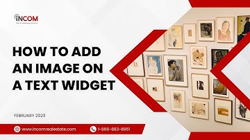 How to add an Image on the Text Widget?