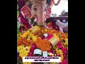 एक साधी धून पण प्रत्येकवेळी बाप्पाचं दर्शनदेऊन जाते💫❤️#ganpatibappamorya #ganeshotsav #trending #fyp
