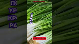 Свежий лук содержит преформированный аллицин, который имеет  #shorts #short #shortvideo
